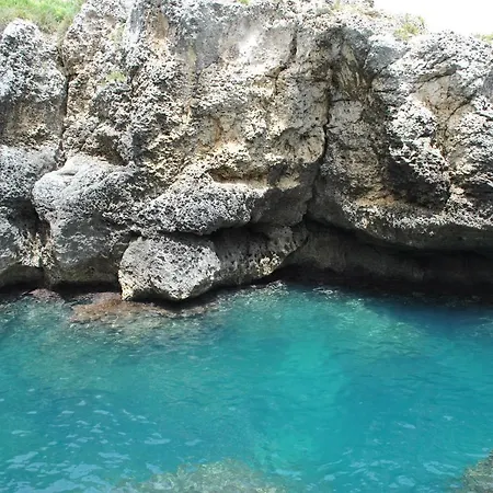 Th - Venus Sea Garden Hotel