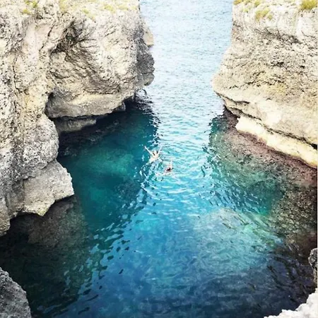 Hotel Th - Venus Sea Garden